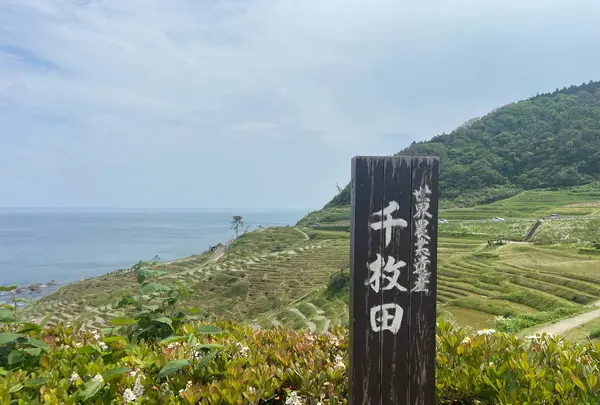 道の駅千枚田（輪島千枚田レストハウス）の写真・動画_image_1118345