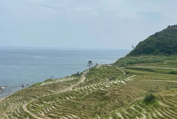 道の駅千枚田（輪島千枚田レストハウス）の写真・動画_image_1118346