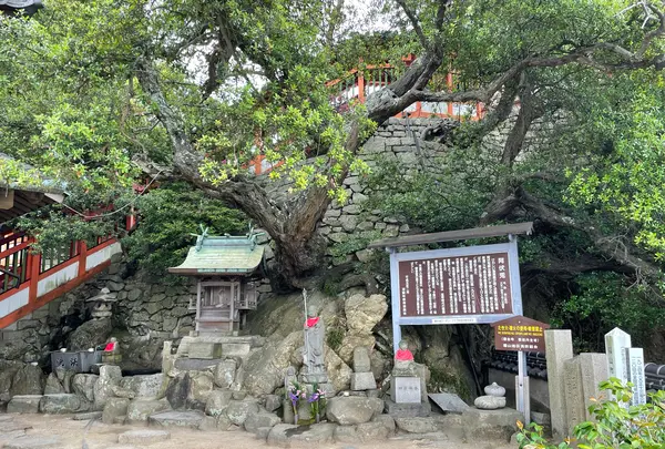 磐台寺の写真・動画_image_1118434