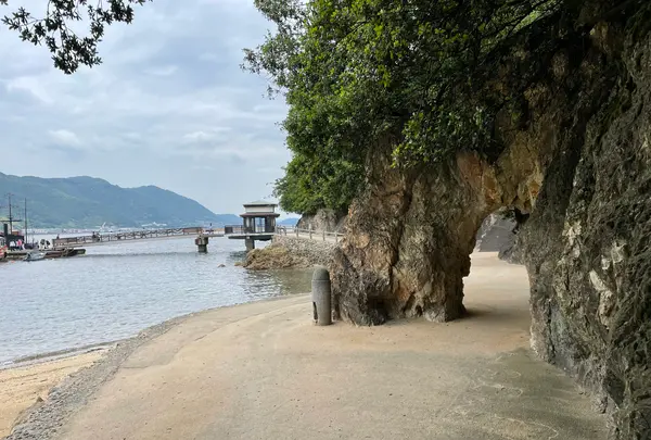 仙酔島の写真・動画_image_1118481
