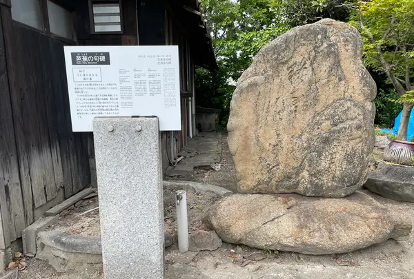 圓福寺の写真・動画_image_1118492