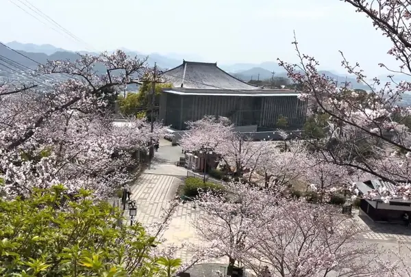 千光寺公園の写真・動画_image_1119638