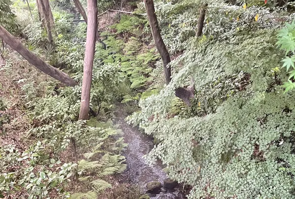 ホテル椿山荘東京の写真・動画_image_1126507