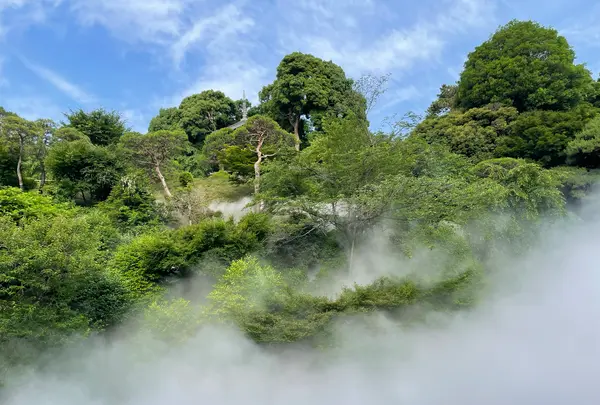 ホテル椿山荘東京の写真・動画_image_1126509