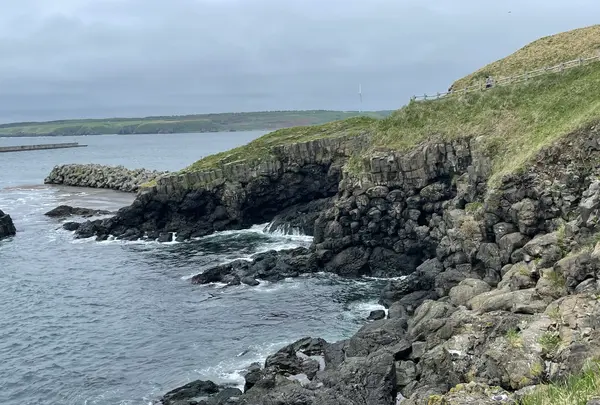 花咲灯台の写真・動画_image_1128015