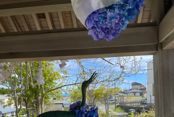 釧路厳島神社の写真・動画_image_1128488