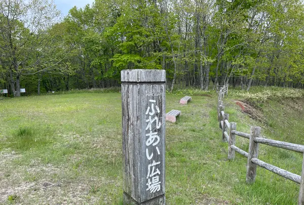 釧路湿原　ふれあい広場の写真・動画_image_1128519