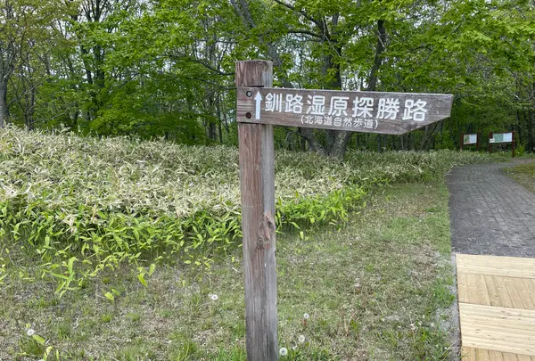 釧路湿原　ふれあい広場の写真・動画_image_1128520
