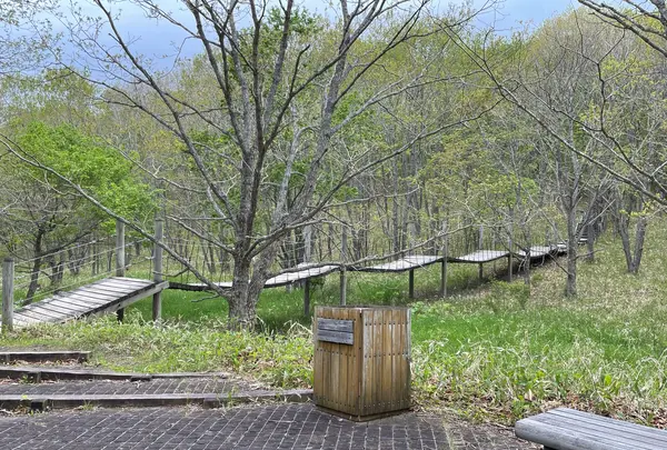 釧路湿原　吊り橋の写真・動画_image_1128710