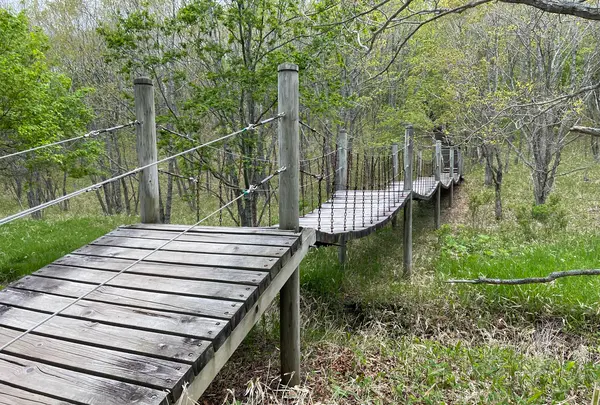 釧路湿原　吊り橋の写真・動画_image_1128711