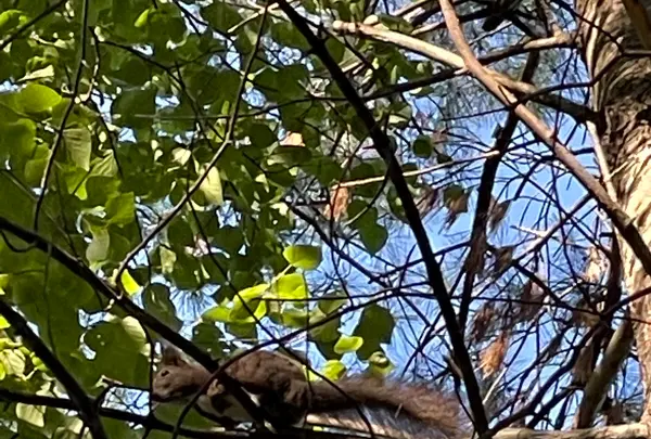 ホテル大平原の写真・動画_image_1128722