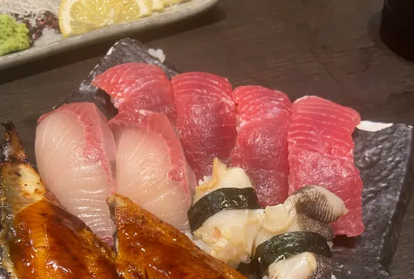 春駒（はるこま）の写真・動画_image_1130209