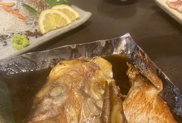春駒（はるこま）の写真・動画_image_1130213