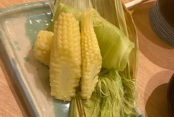 テンマスタンドコバチの写真・動画_image_1130220