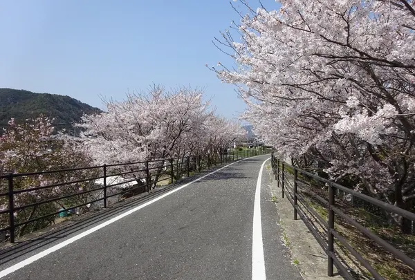 片鉄ロマン街道サイクリング道の写真・動画_image_1132266