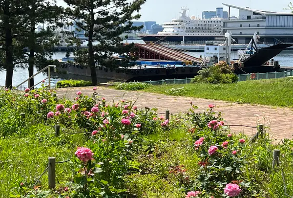 青海南ふ頭公園の写真・動画_image_1134775