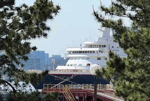 青海南ふ頭公園の写真・動画_image_1134776