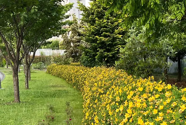 シンボルプロムナード公園 センタープロムナードの写真・動画_image_1134779