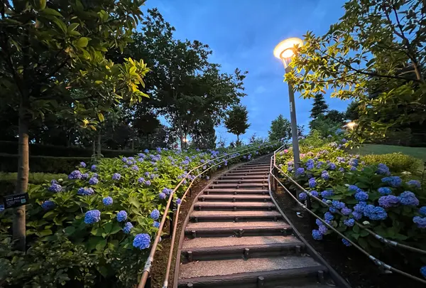 シンボルプロムナード公園 センタープロムナードの写真・動画_image_1134780