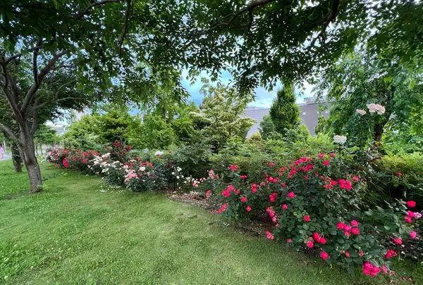 シンボルプロムナード公園 センタープロムナードの写真・動画_image_1134781