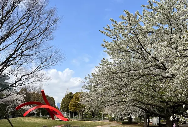 滝の広場の写真・動画_image_1134783