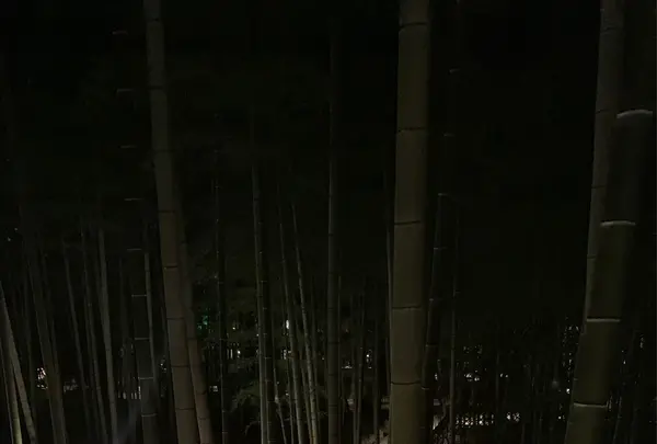 ふふ 奈良の写真・動画_image_1137457