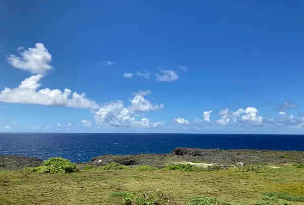 日本最南端の碑の写真・動画_image_1137709