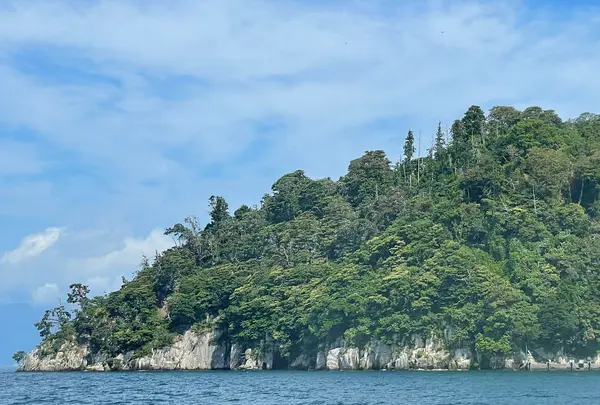 竹生島の写真・動画_image_1139004