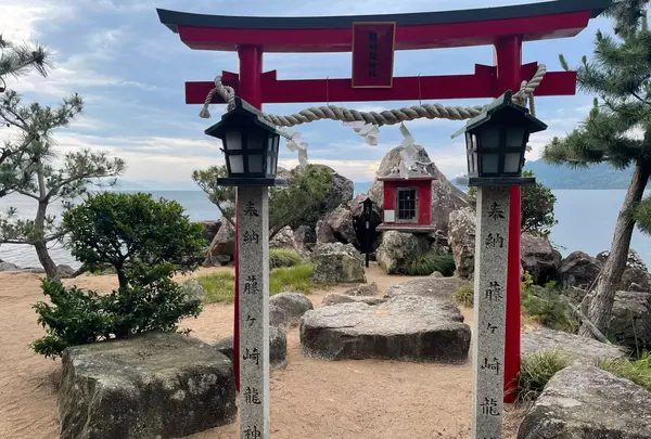 藤ケ崎龍神の写真・動画_image_1139059