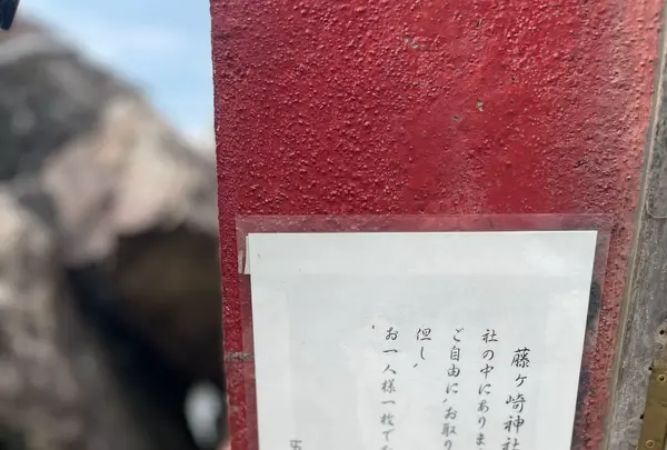 藤ケ崎龍神の写真・動画_image_1139062