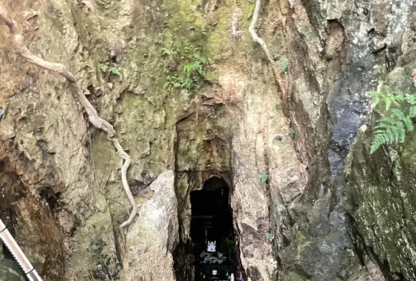 妙得龍王神社の写真・動画_image_1139068