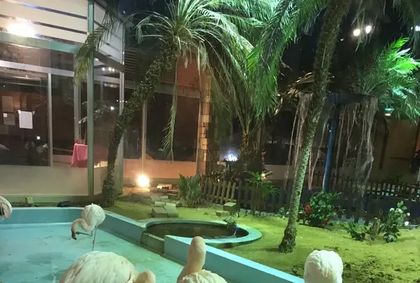 シーフードレストラン メヒコ守谷フラミンゴ館／洋食 誕生日 記念日 子連れ ランチの写真・動画_image_1141228