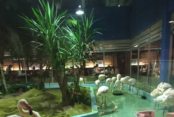 シーフードレストラン メヒコ守谷フラミンゴ館／洋食 誕生日 記念日 子連れ ランチの写真・動画_image_1141231