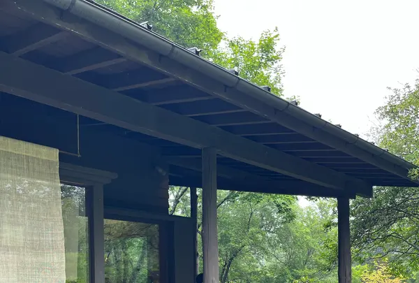 しもさかの写真・動画_image_1150565