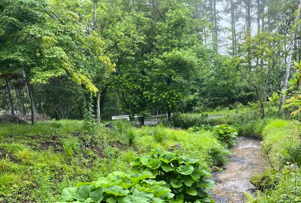 しもさかの写真・動画_image_1150566