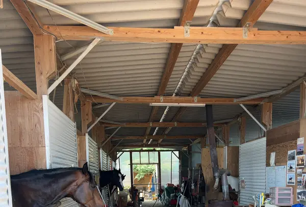 有明浜ホースパークの写真・動画_image_1153777