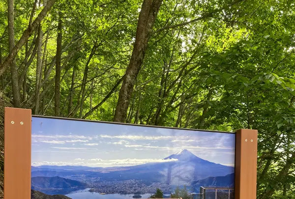 FUJIYAMAツインテラスの写真・動画_image_1154377