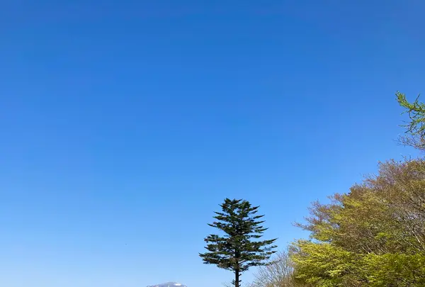 旧碓氷峠見晴台の写真・動画_image_1154564