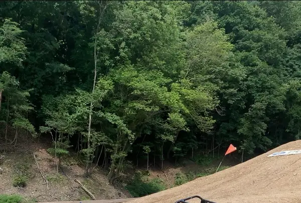 VISON(ヴィソン)の写真・動画_image_1154624