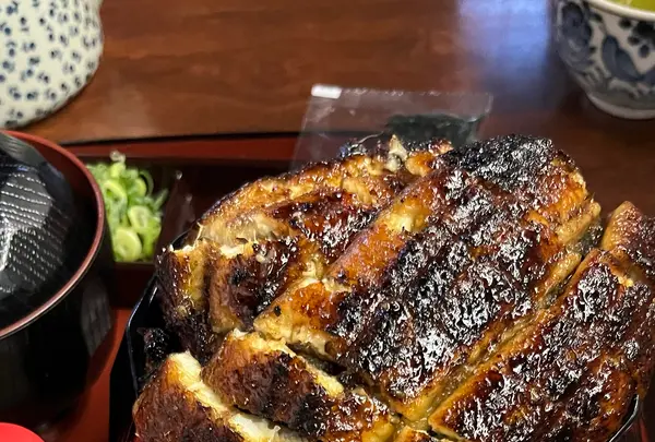 イチビキの写真・動画_image_1154868