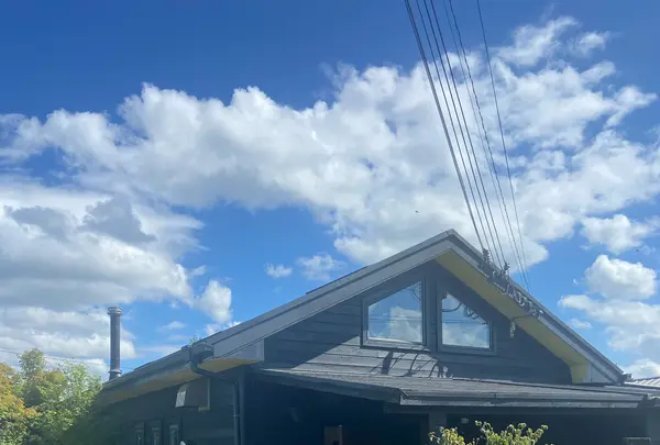 うわのそらの写真・動画_image_1156303