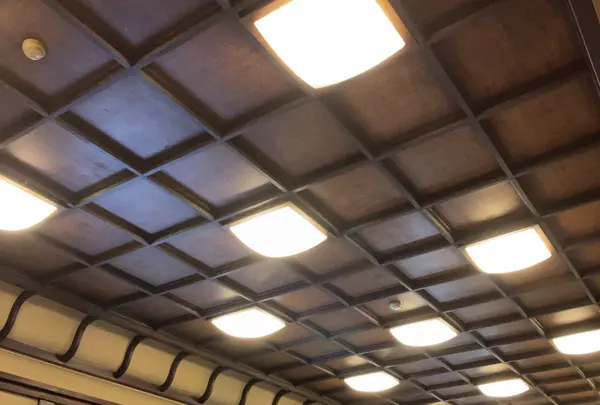 だるま料理店の写真・動画_image_1162263