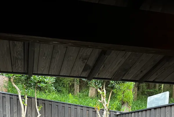 湯布院 ホテル森のテラスの写真・動画_image_1169289