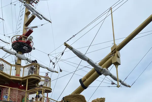 箱根海賊船の写真・動画_image_1174464