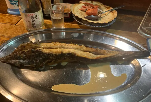 網元の写真・動画_image_1174817