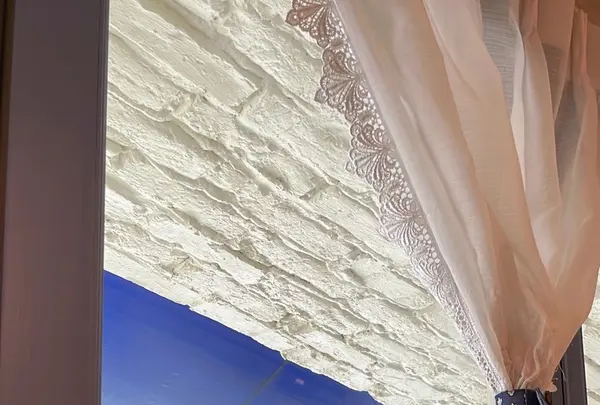 FRENCH POUND HOUSEの写真・動画_image_1175701