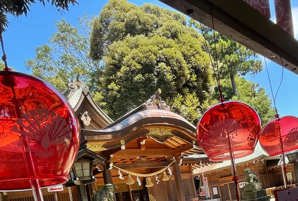 久伊豆神社の写真・動画_image_1175761