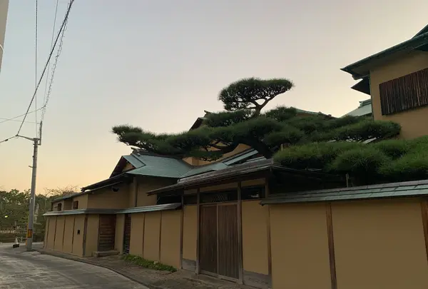 うめ乃やの写真・動画_image_1175967