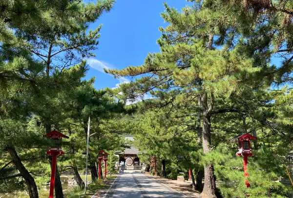 吉備津彦神社の写真・動画_image_1179691