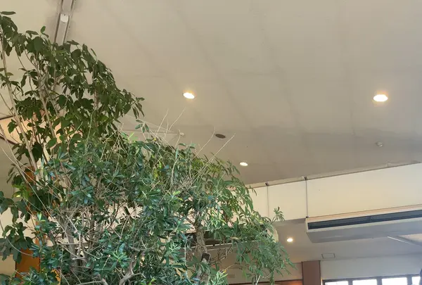 TREX CHIGASAKI OCEAN CAFEの写真・動画_image_1189886